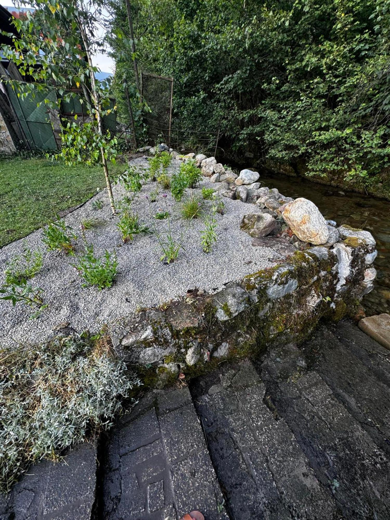 Apartmany Elli Mýto pod Ďumbierom Exteriör bild