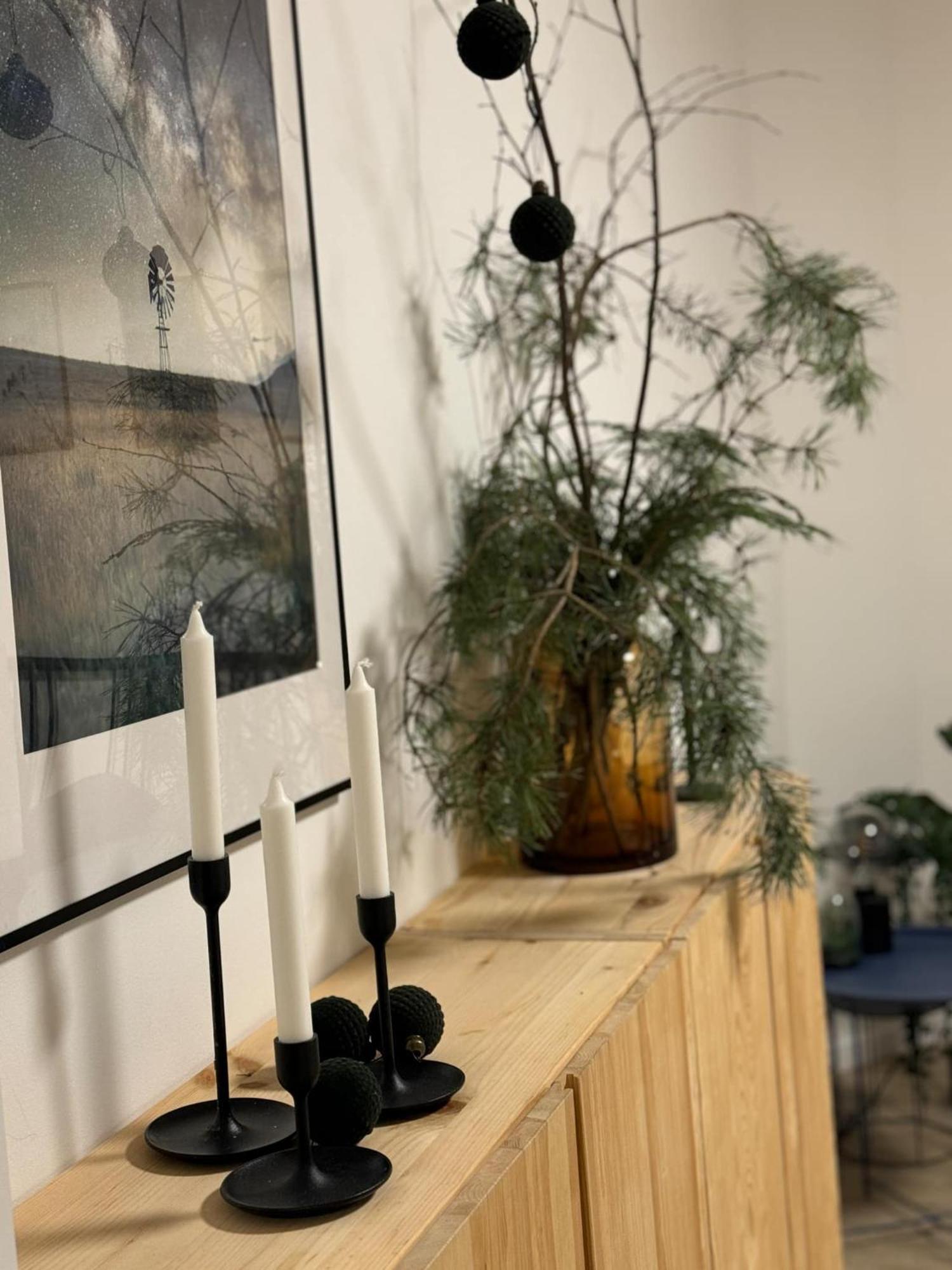 Apartmany Elli Mýto pod Ďumbierom Exteriör bild